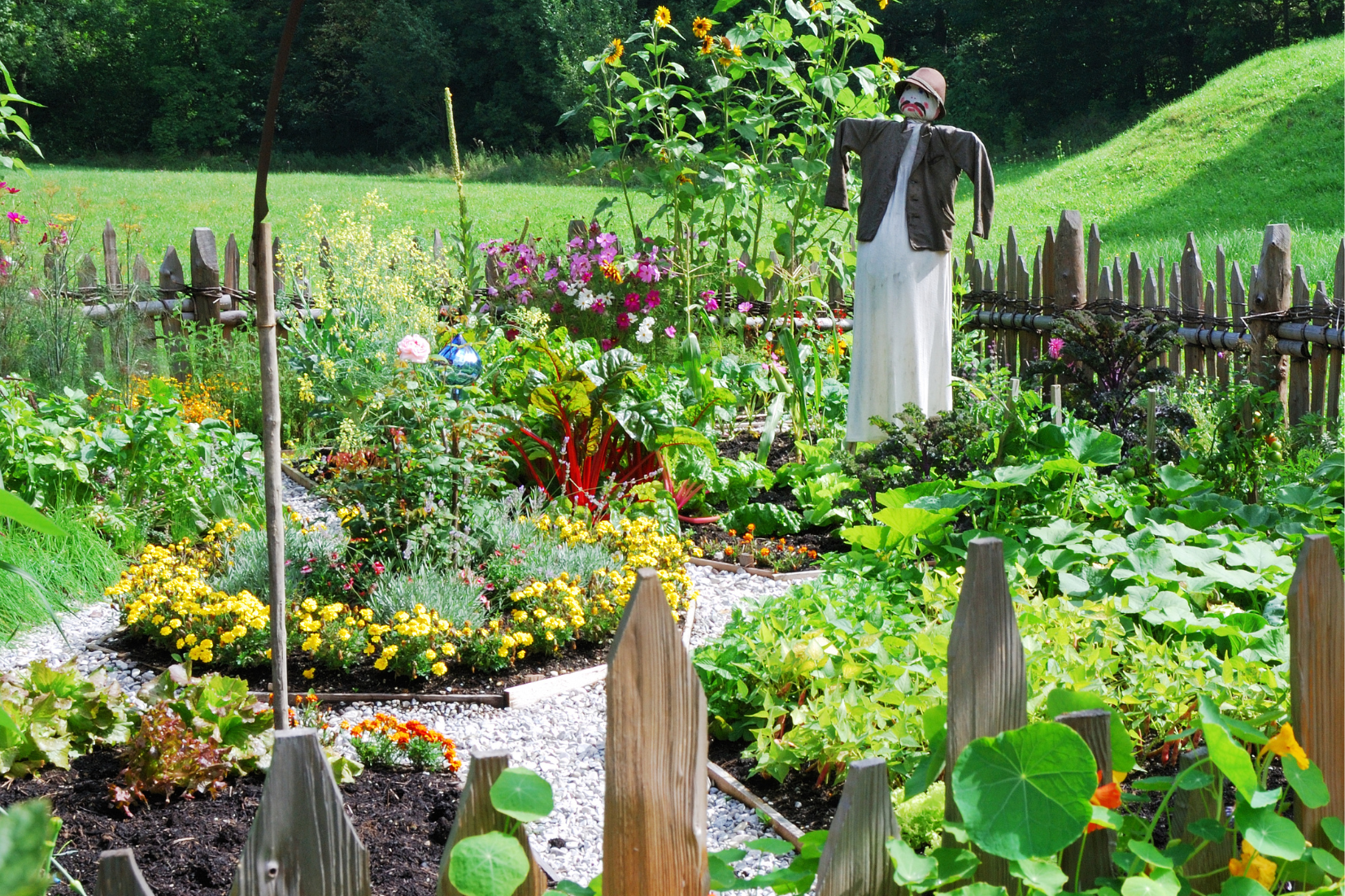 Eco-Friendly options to reduce pests in the garden