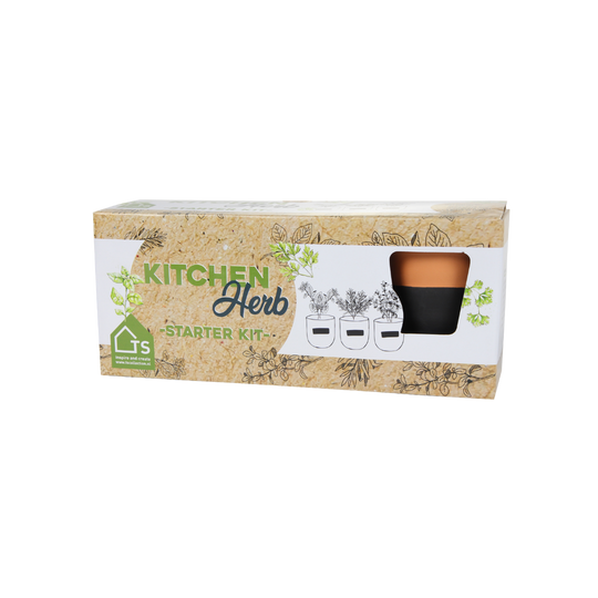 3 pc Terracotta Herb Pot gift set