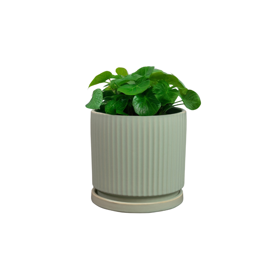 Siebe Pot