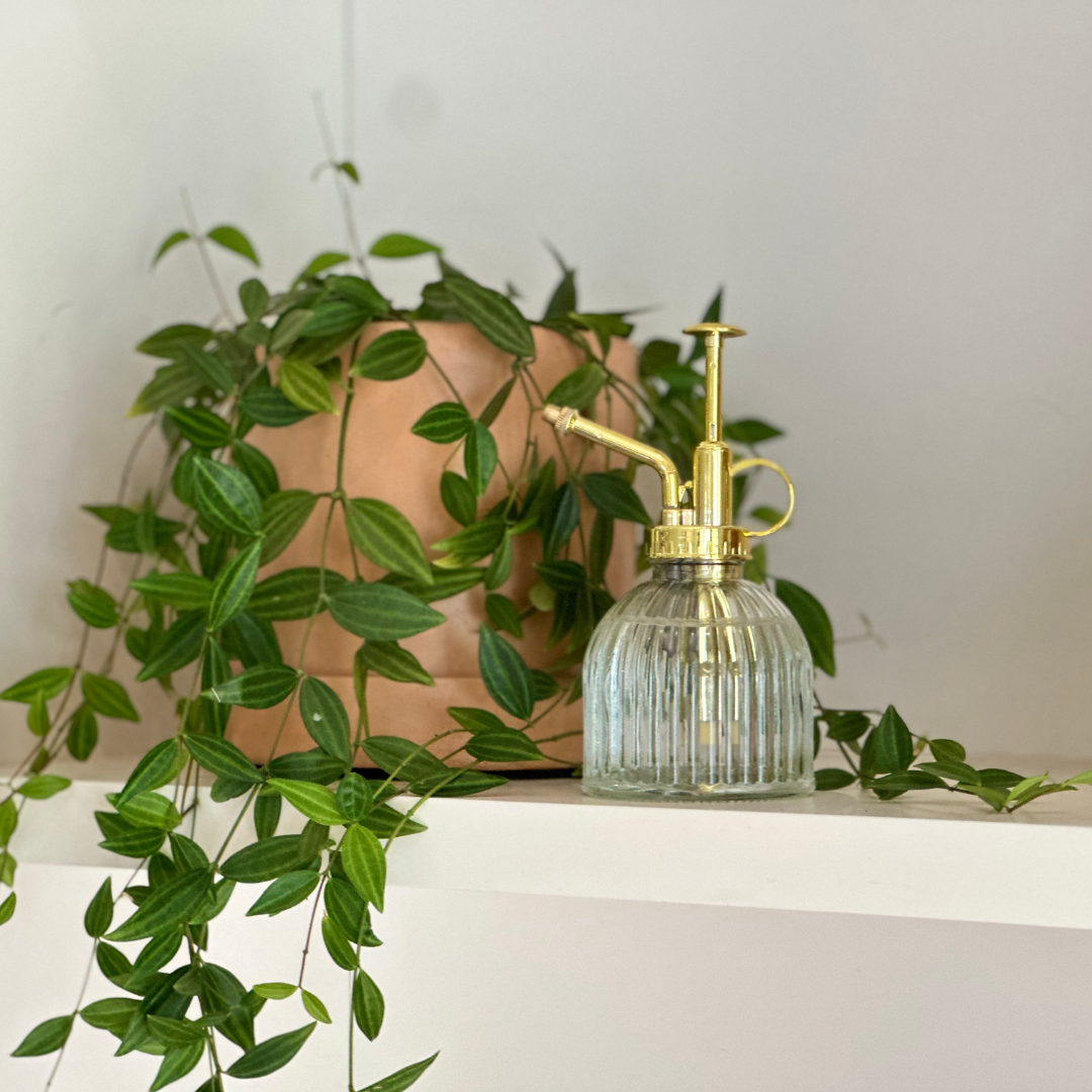 Good Roots Good Roots Glass Plant Mister – Good Roots Store