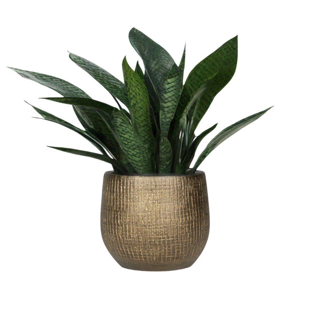 Ryan Pot