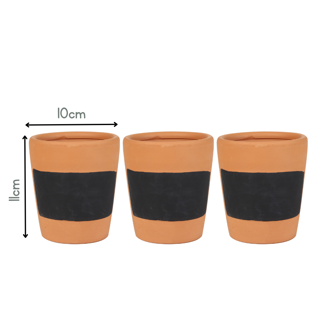 3 pc Terracotta Herb Pot gift set
