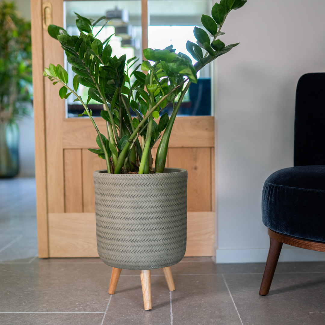Fenn Pot