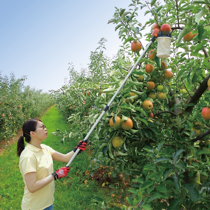 Good Roots Telescopic Fruit Picker