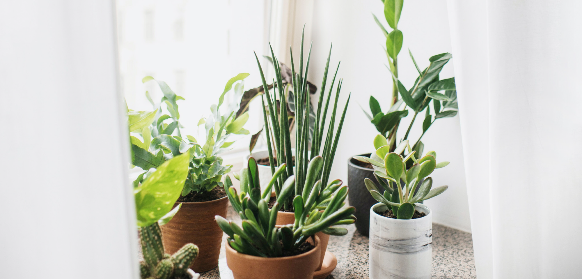 Store Locator - Good Roots Store