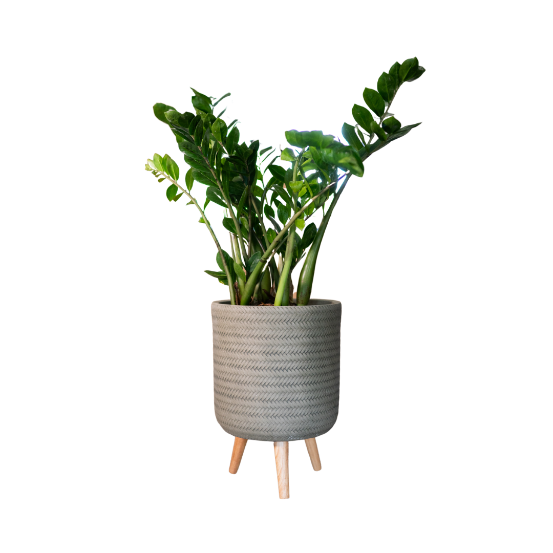 Fenn Pot