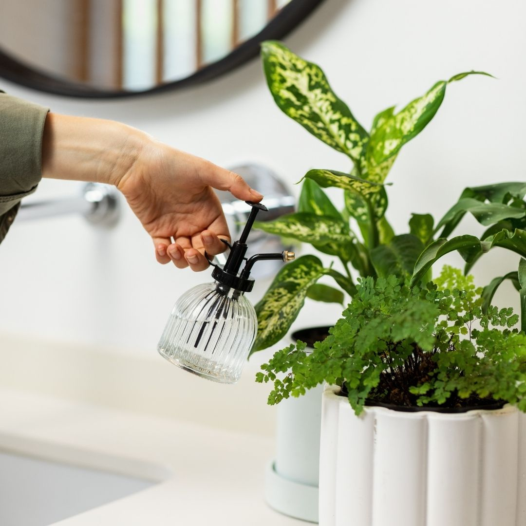 Good Roots Good Roots Glass Plant Mister – Good Roots Store