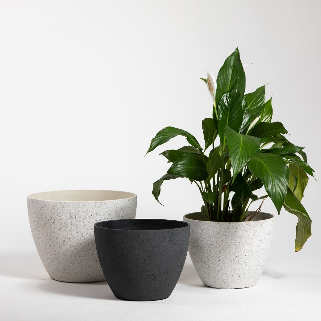 Ceramix Nova Terrazzo Pot