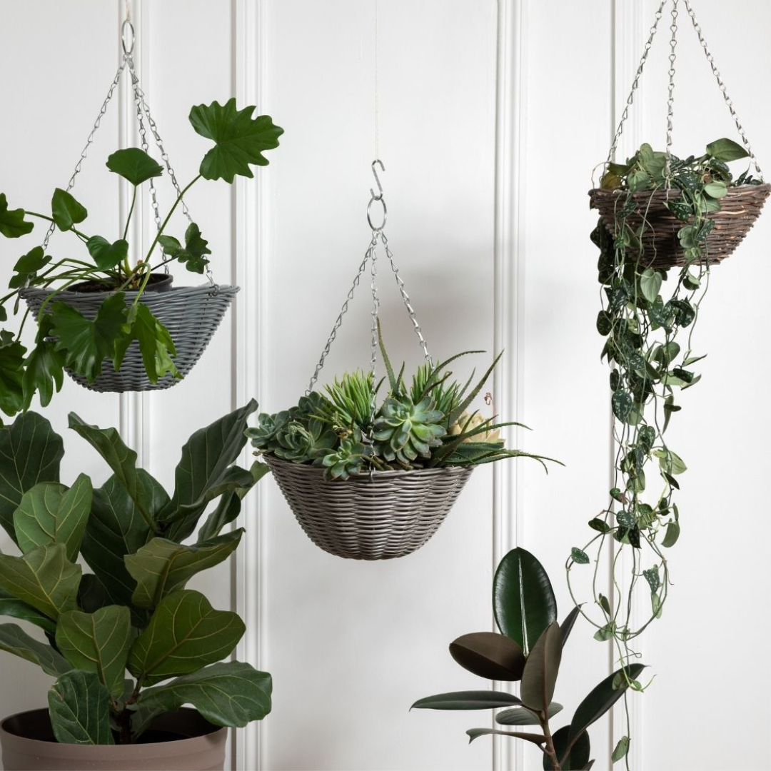 Good Roots Rattan Effect Hanging Basket – Good Roots Store