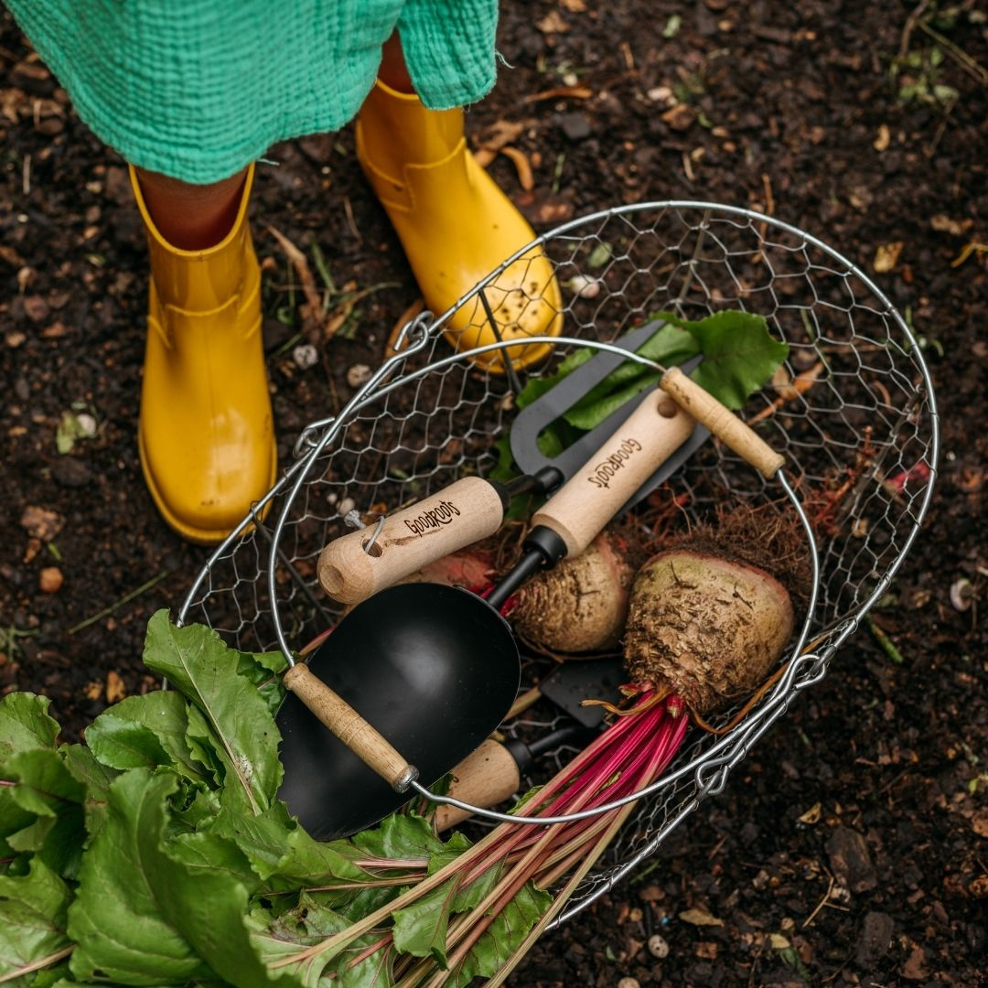 Good Roots Potting Scoop