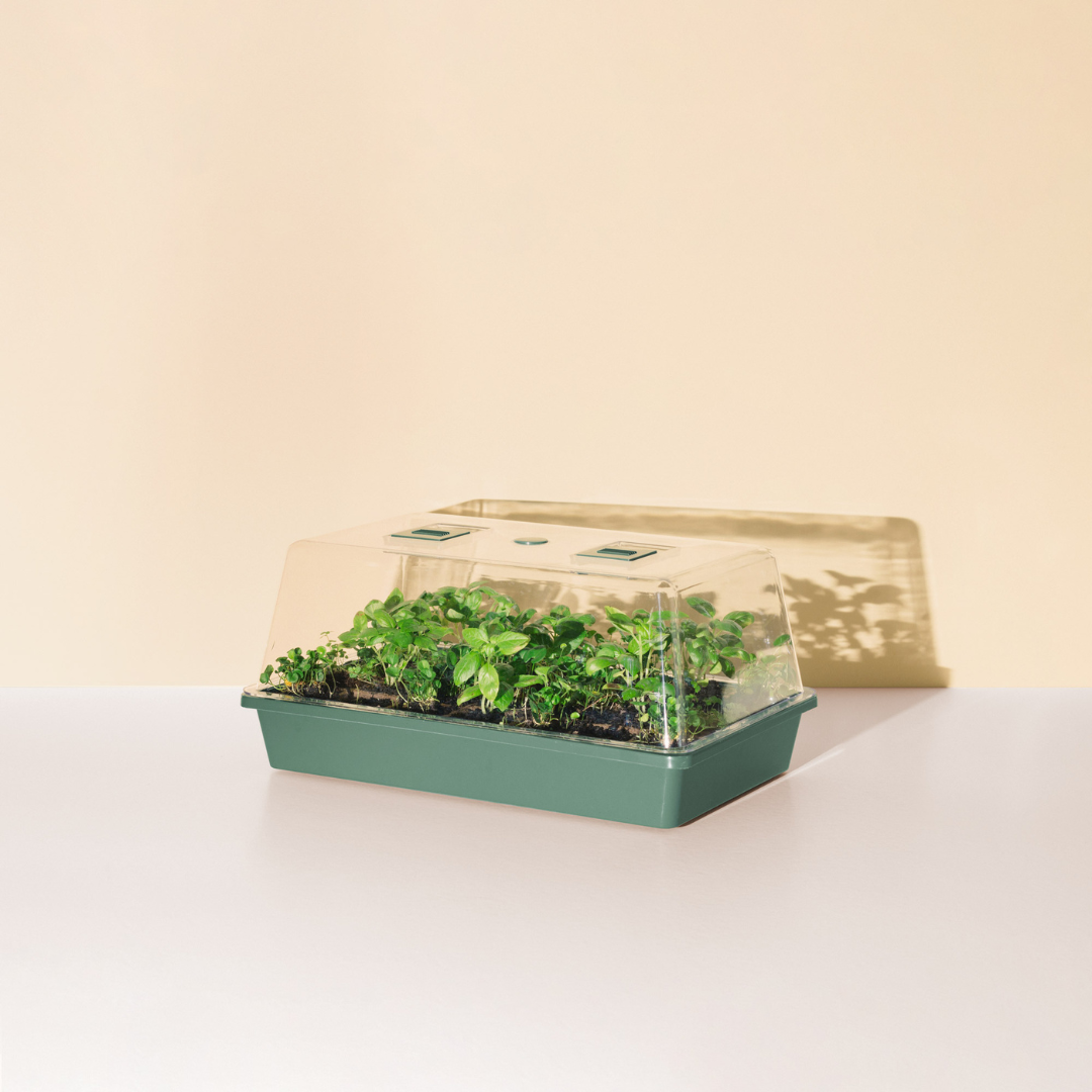 Good Roots Microgreen Kit – Good Roots Store