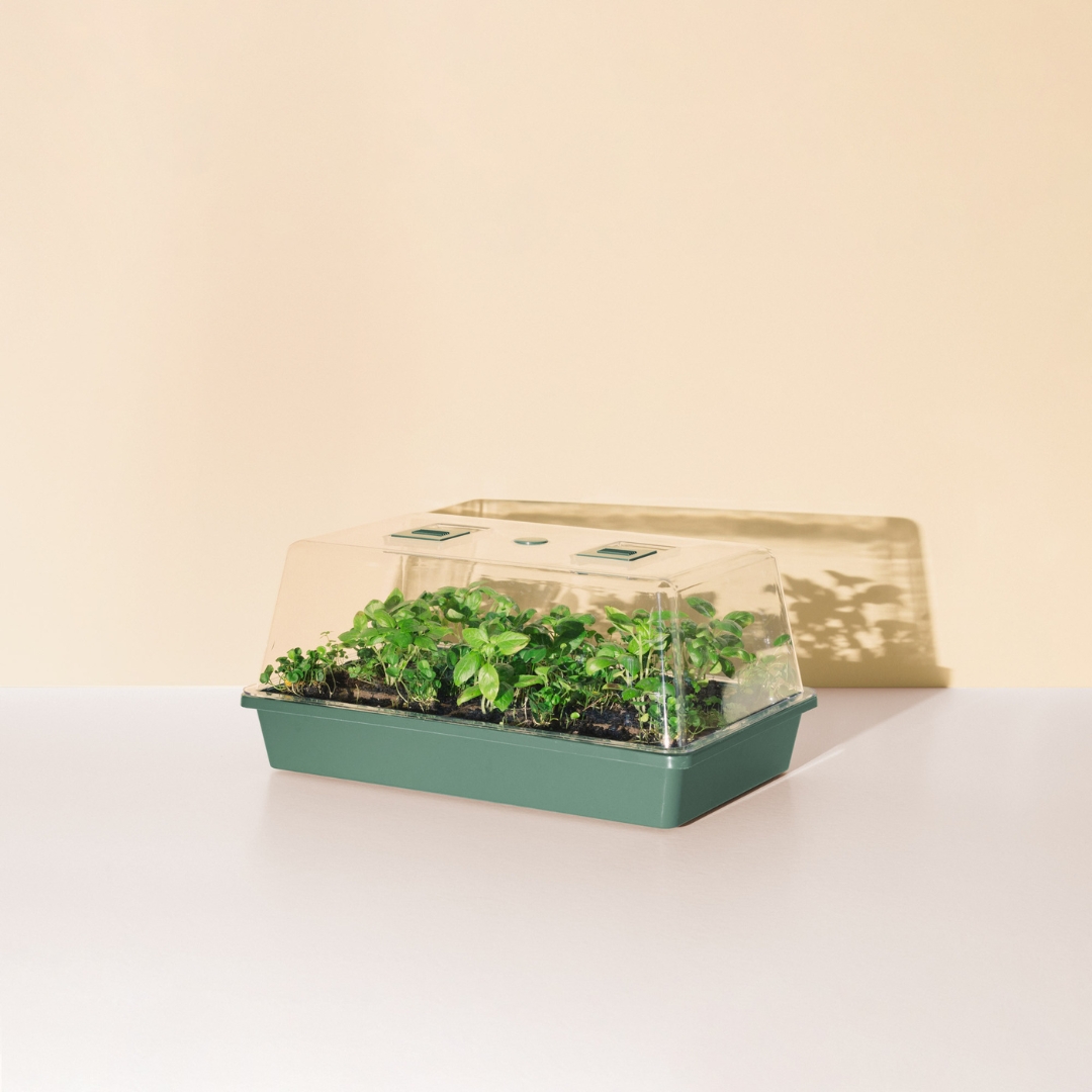 Good Roots Microgreen Kit
