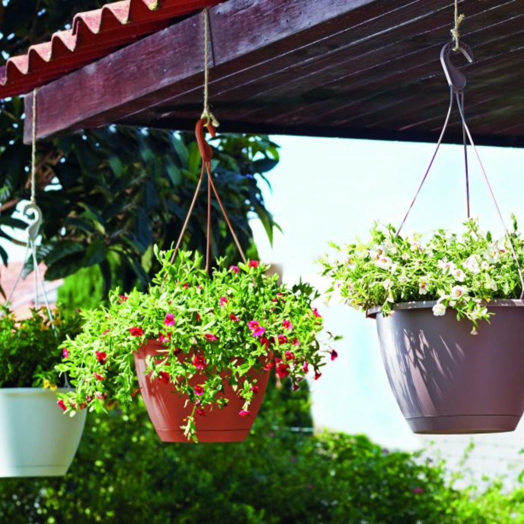 Algarve Hanging Basket