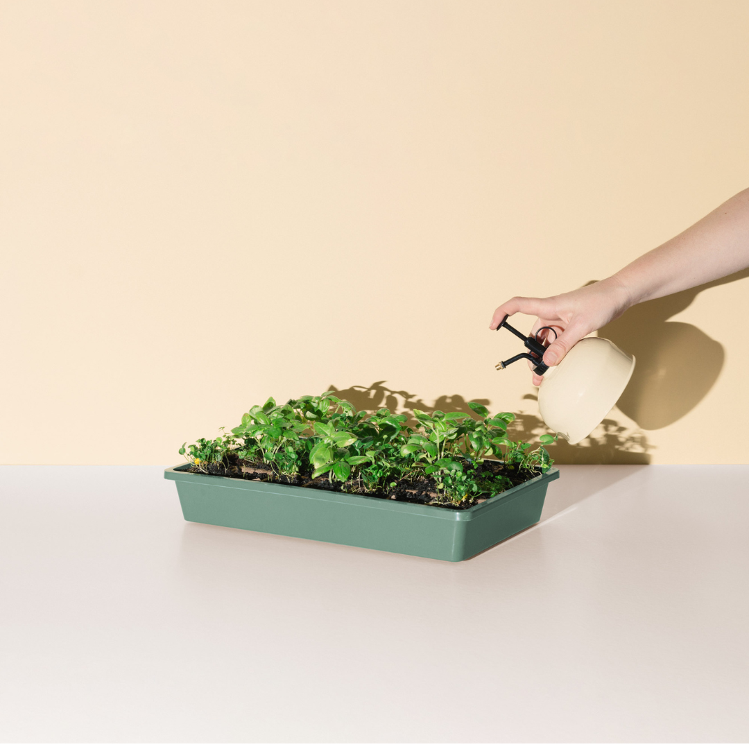 Good Roots Microgreen Kit – Good Roots Store