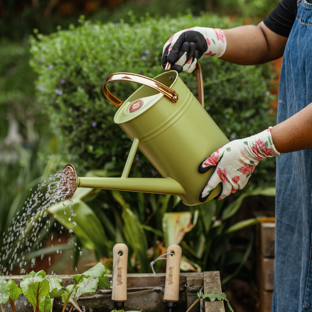 Good Roots Watering Can