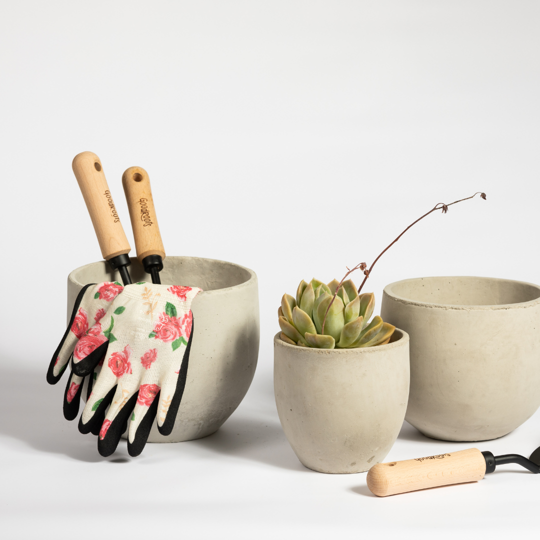 Good Roots Good Roots Finn Concrete Pot – Good Roots Store