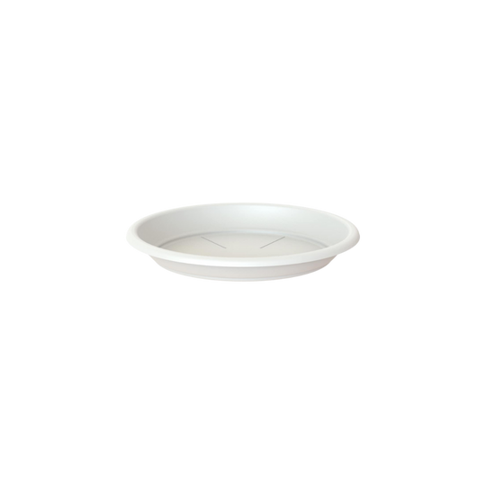 Campana Saucer