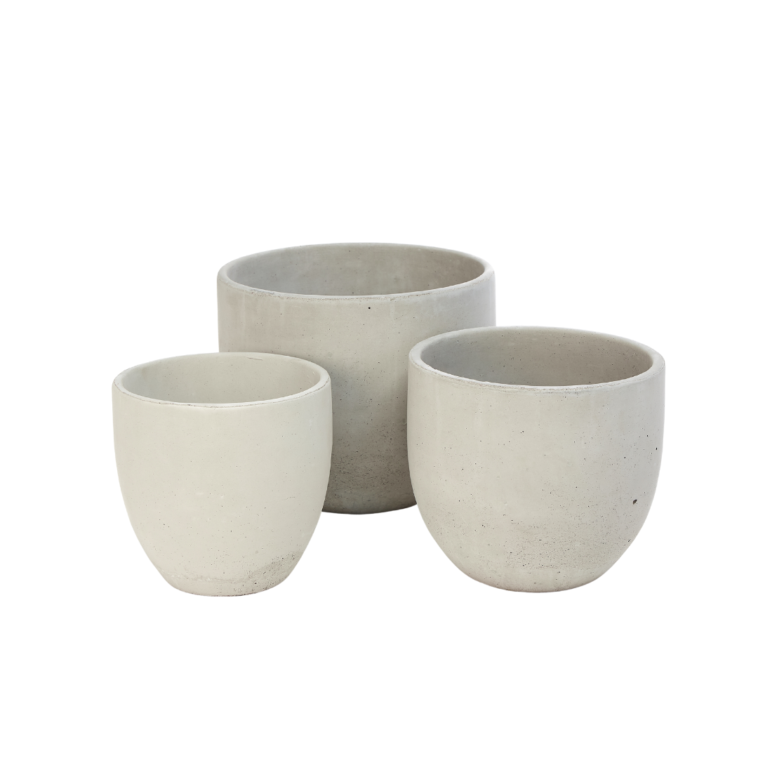 Good Roots Good Roots Finn Concrete Pot – Good Roots Store