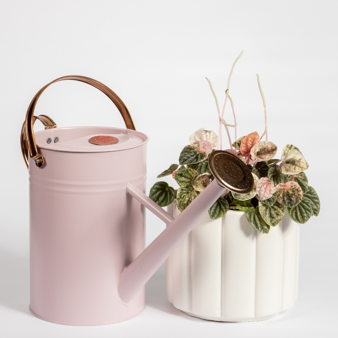 Good Roots Watering Can