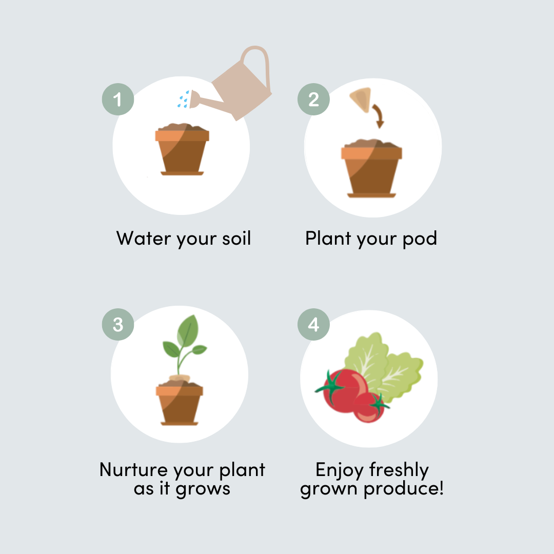 SeedCell Mixed pack