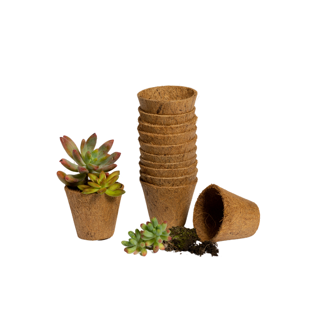 Good Roots Fibre Pots – Good Roots Store